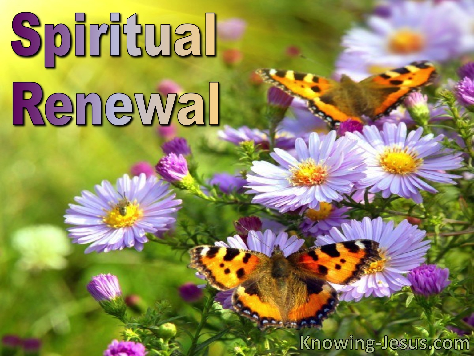 Spiritual Renewal Meaning In English